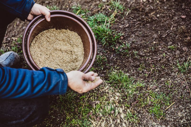 Commercial Seeding Tips For Healthy Grass In Walbridge, Ohio