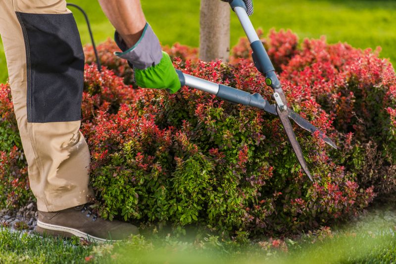 When To Trim Shrubs In Walbridge, Ohio