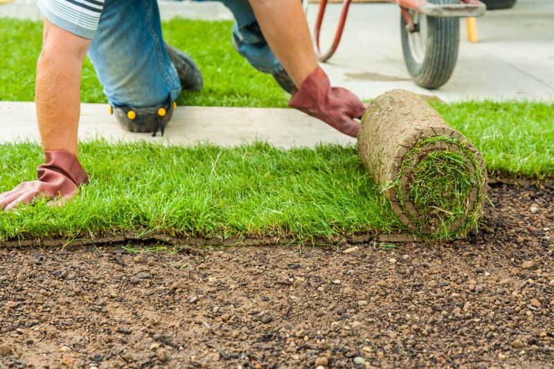 Caring For Newly Installed Sod In Walbridge, Ohio
