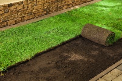 Caring For Newly Installed Sod In Walbridge, Ohio