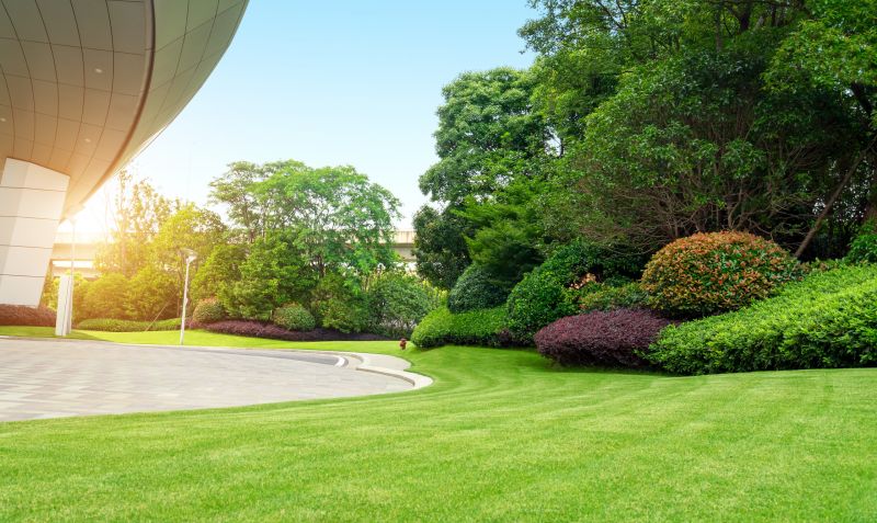 Choosing Plants For Commercial Properties In Walbridge, Ohio