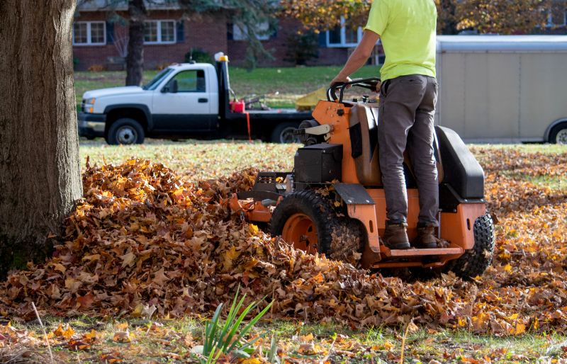 Commercial Fall Lawn Cleanup