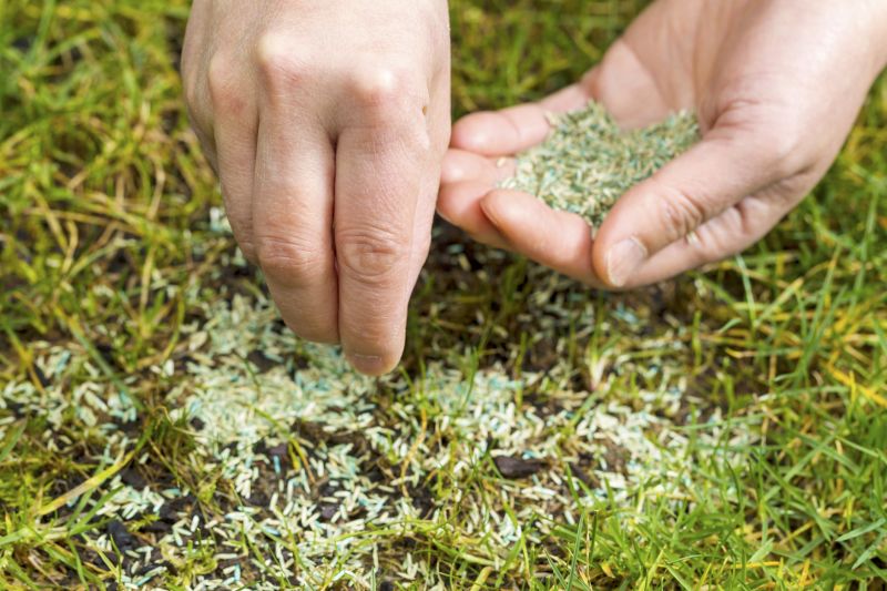 Commercial Seeding Tips For Healthy Grass In Walbridge, Ohio