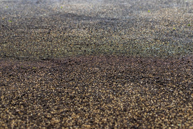 Commercial Seeding Tips For Healthy Grass In Walbridge, Ohio