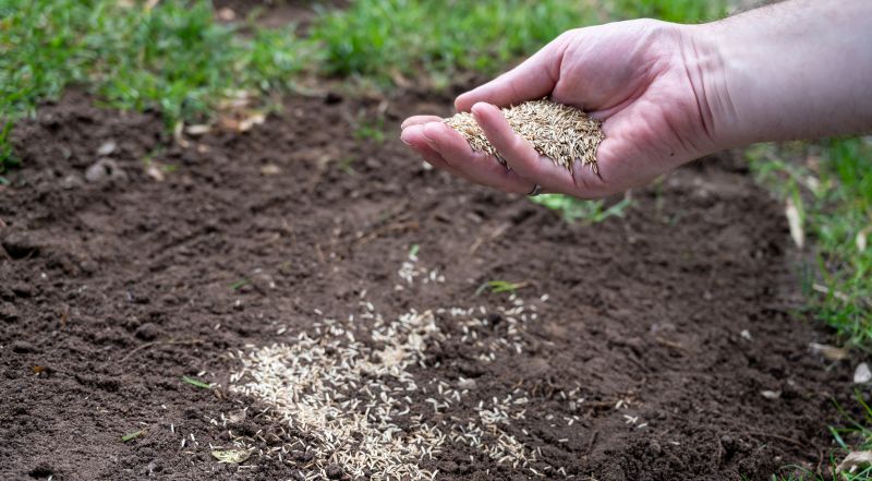Commercial Seeding Tips For Healthy Grass In Walbridge, Ohio