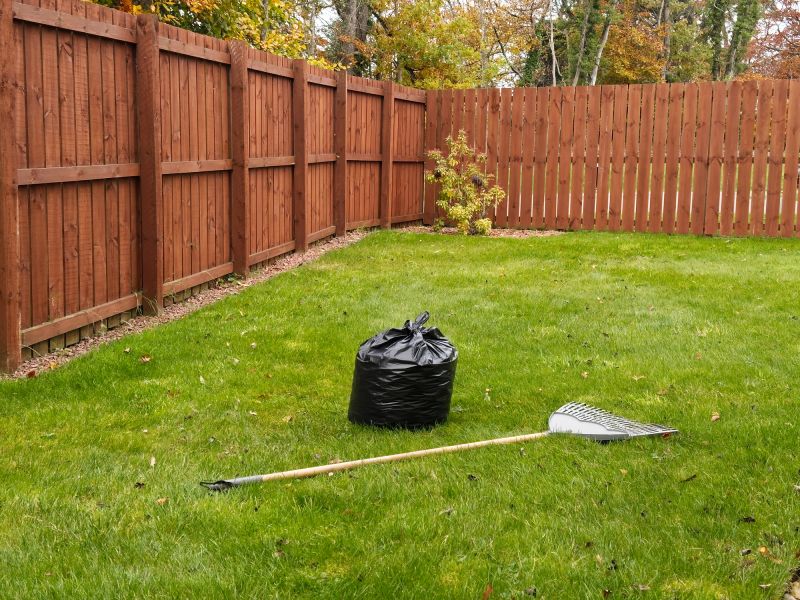 Fall Lawn Cleanup