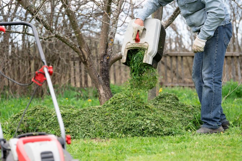 Fall Leaf Removal Tips In Walbridge, Ohio