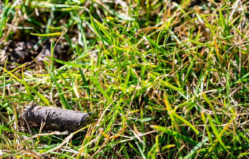 Lawn Aeration
