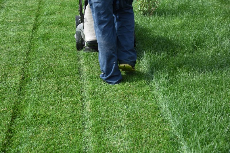 Lawn Mowing