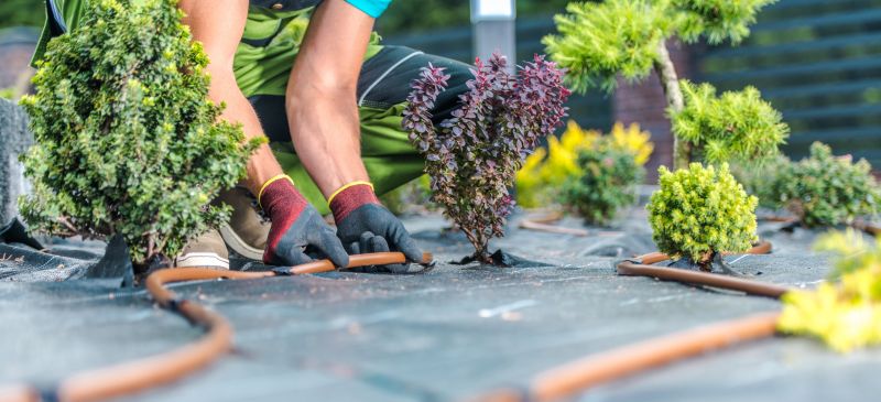 New Landscaping Installation