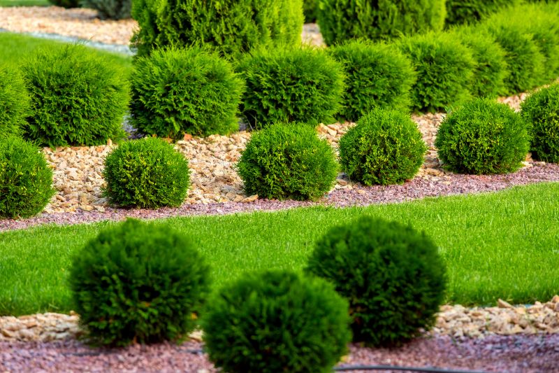 New Landscaping Installation