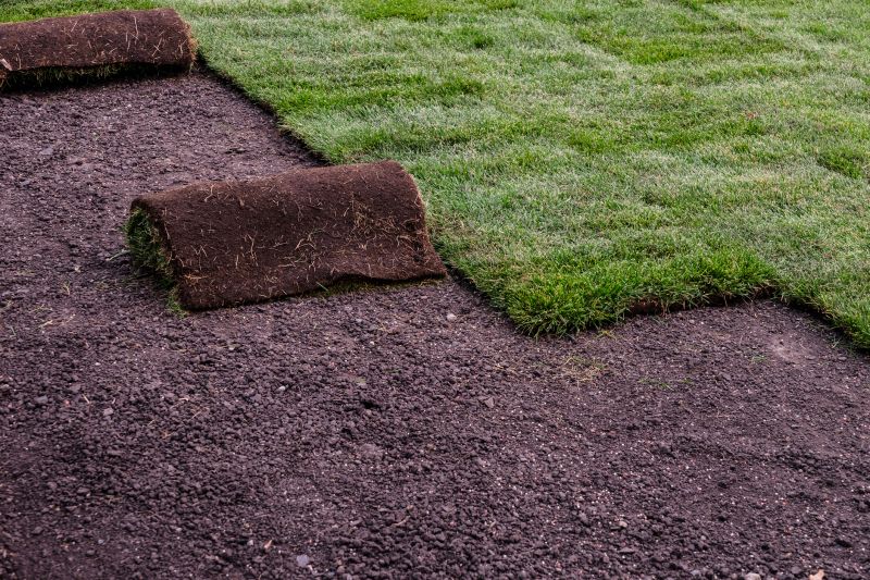 Preparing For Sod Installation In Walbridge, Ohio