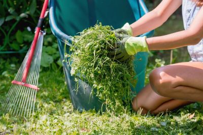 Seasonal Commercial Lawn Cleanup In Walbridge, Ohio