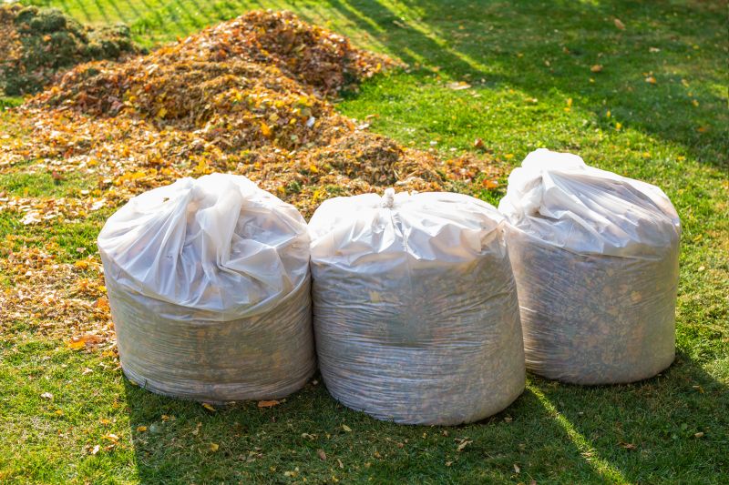 Spring Lawn Cleanup