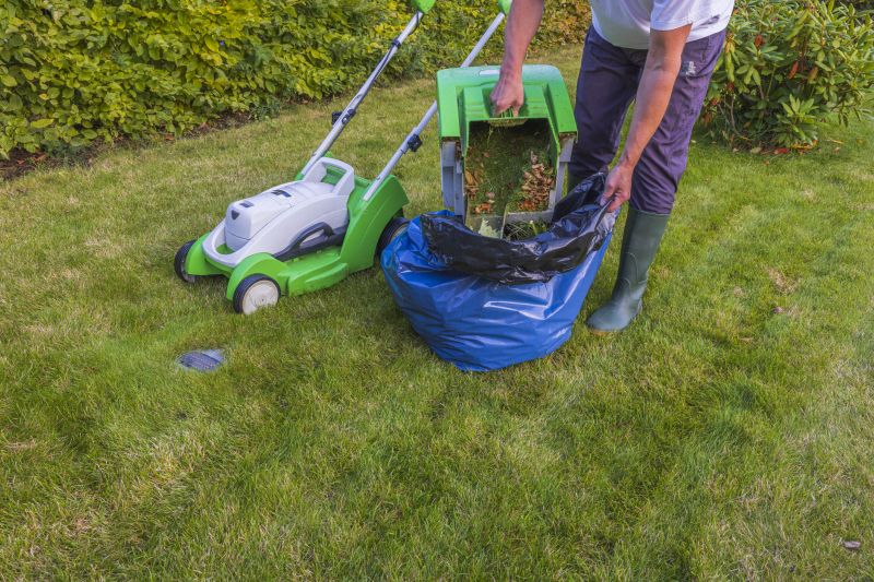 Spring Lawn Cleanup