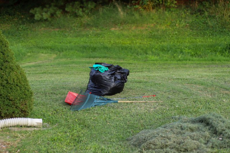Spring Yard Maintenance Tips In Walbridge, Ohio