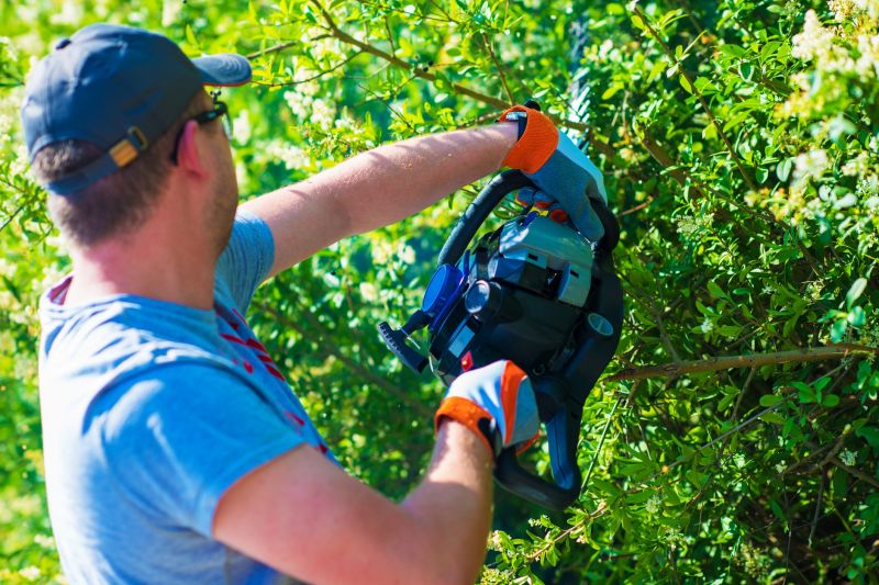 When To Trim Shrubs In Walbridge, Ohio