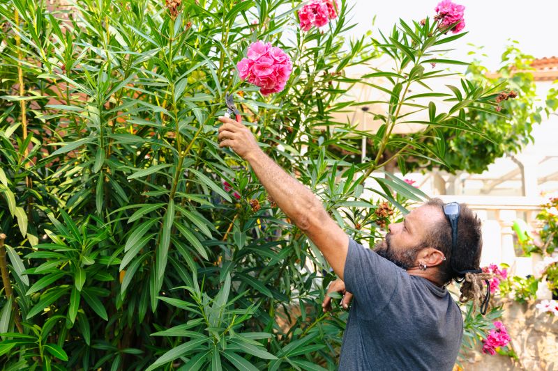 When To Trim Shrubs In Walbridge, Ohio