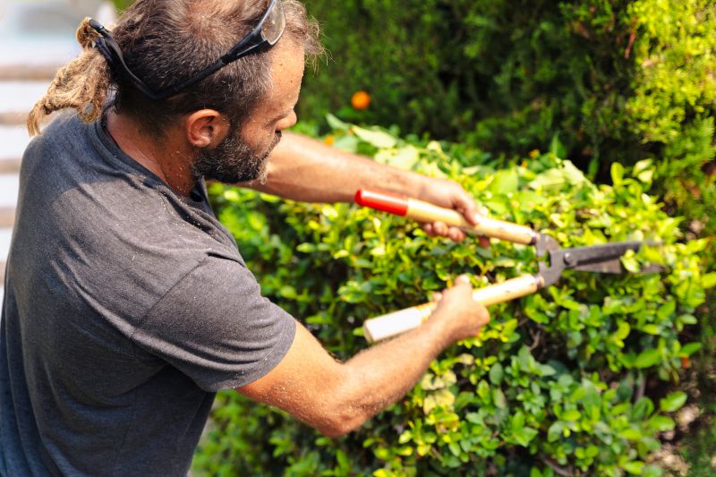 When To Trim Shrubs In Walbridge, Ohio