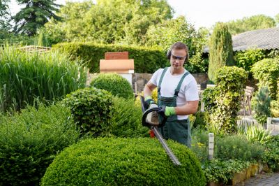 When To Trim Shrubs In Walbridge, Ohio