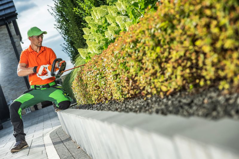 When To Trim Shrubs In Walbridge, Ohio