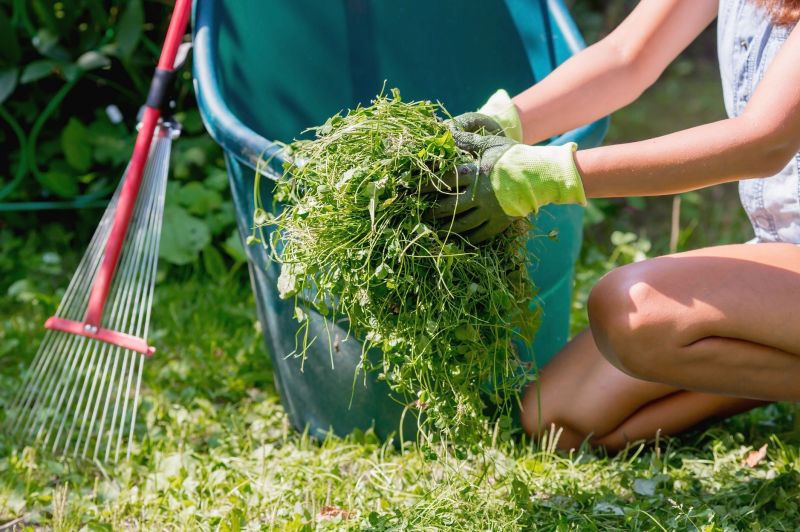 Why Fall Lawn Cleanup Matters