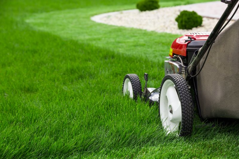 Year-Round Landscape Care